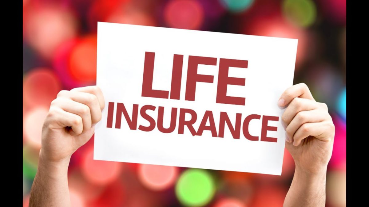 "LIFE INSURANCE MEANS..." जीवन बीमा का मतलब... "  BY HANUMANT DHAMAL (HINDI)